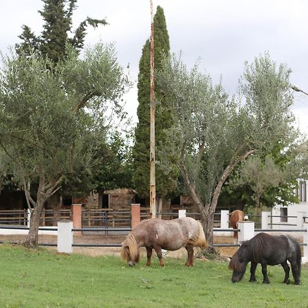 Masia Can Rovira - ESC1852 San Lorenzo de Hortons Bagian luar foto