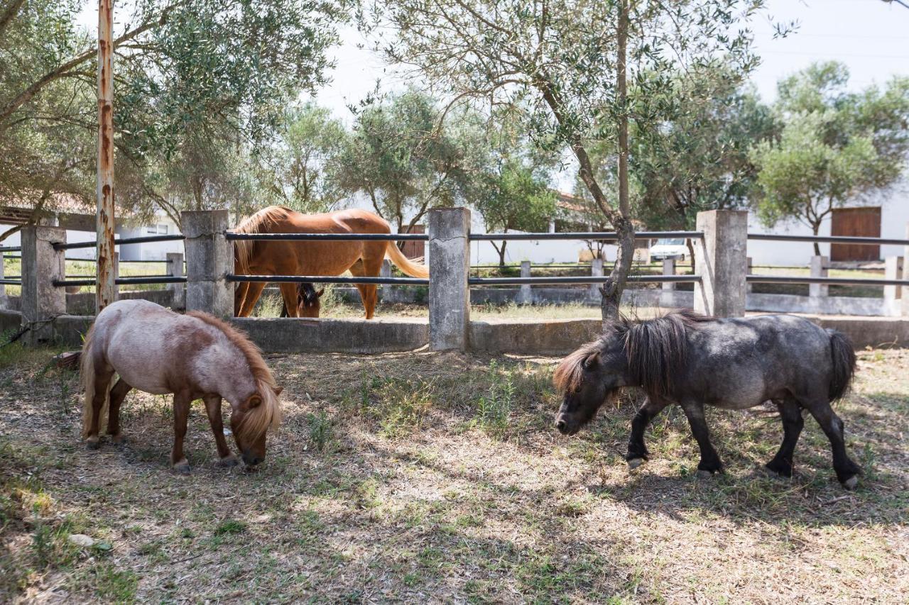 Masia Can Rovira - ESC1852 San Lorenzo de Hortons Bagian luar foto